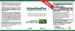 IntestinePro - 60 Capsules